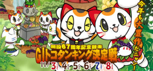 【常滑競艇予想（11/7）】G1トコタンキング決定戦（2020）5日目の買い目はコレ！